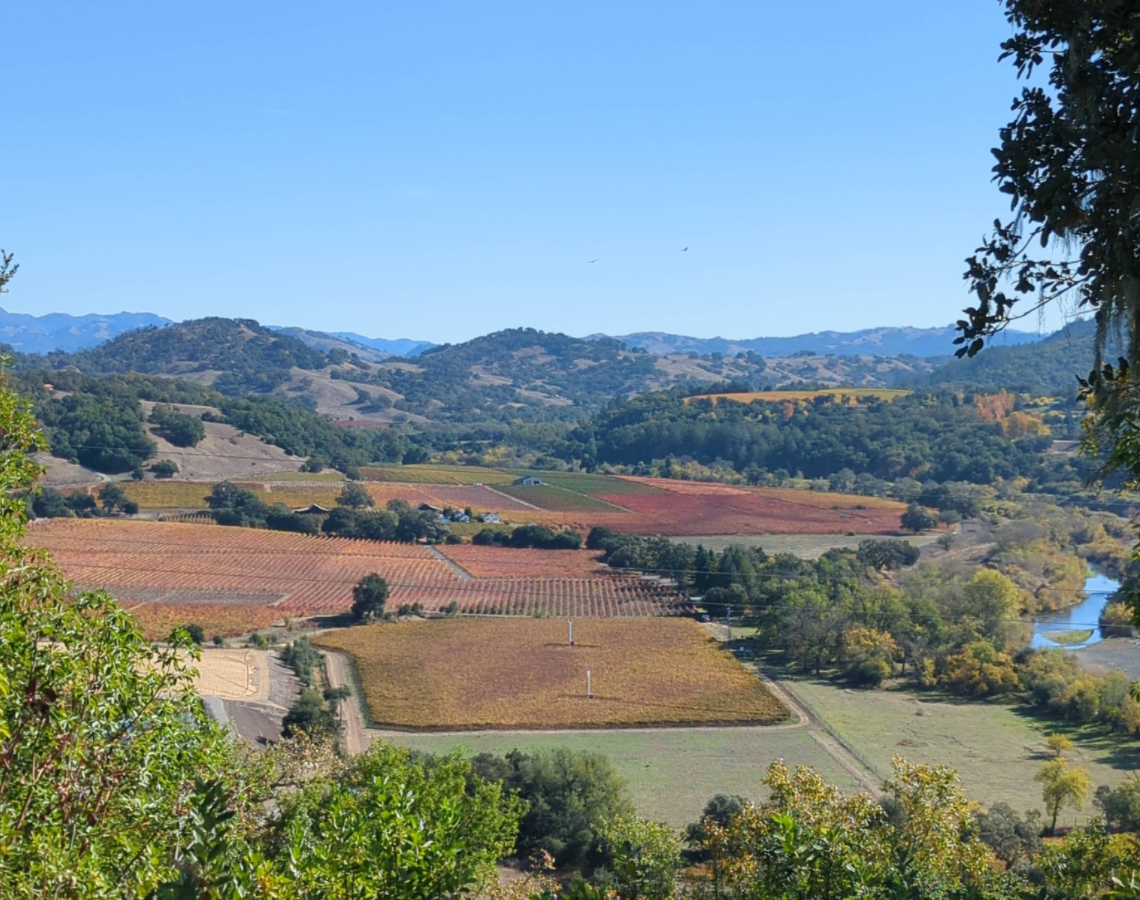 Russian River Overlook